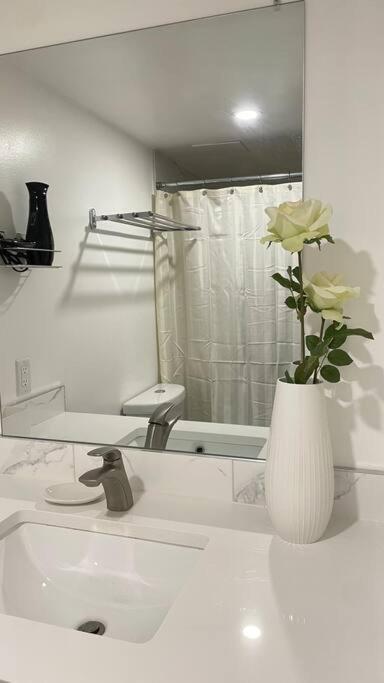 Unit #204 Cozy Mountain View 2Br In Canmore Downtown Eksteriør bilde